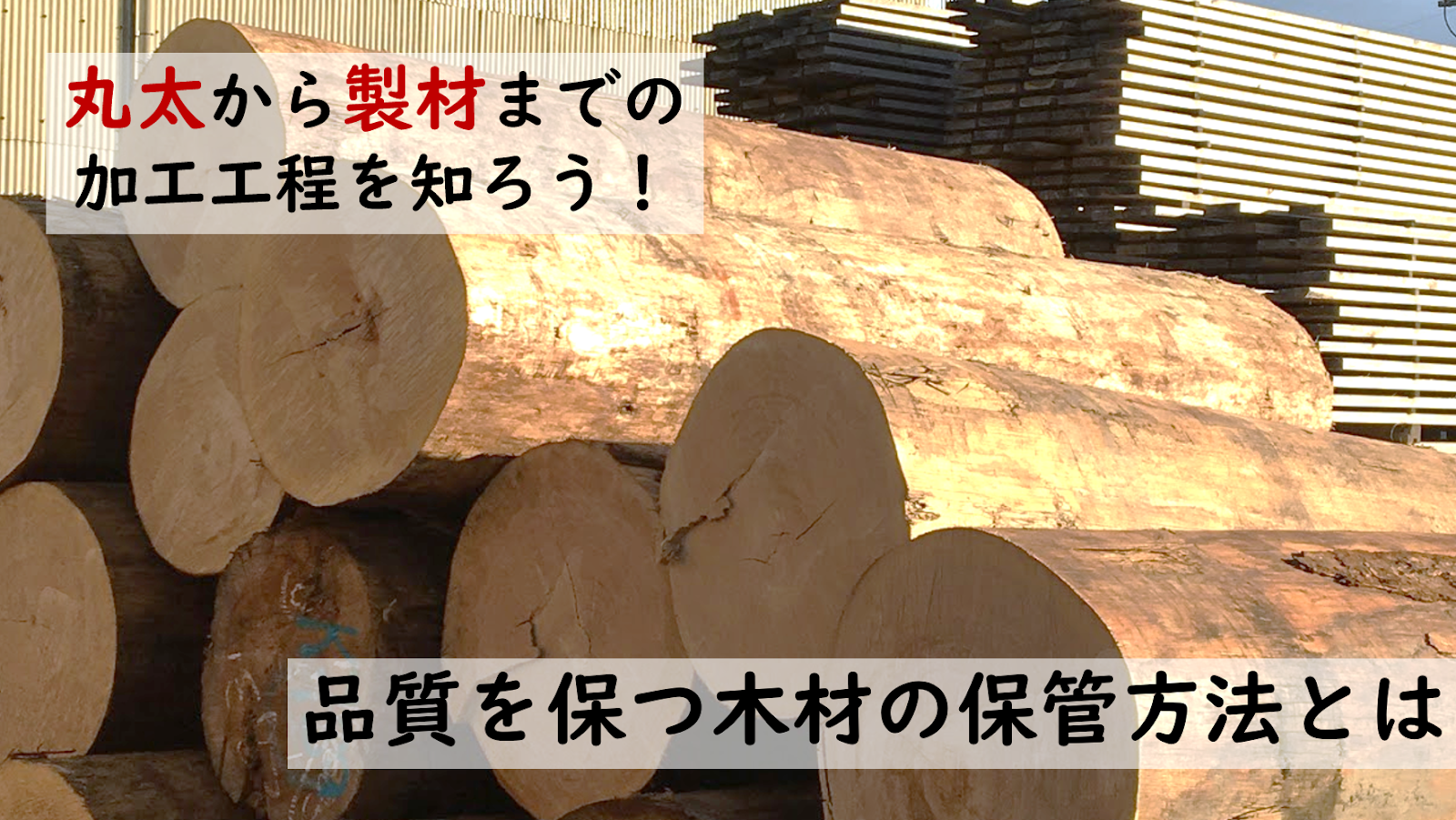 丸太から製材までの加工工程を知ろう 品質を保つ木材の保管方法とは 株式会社東集